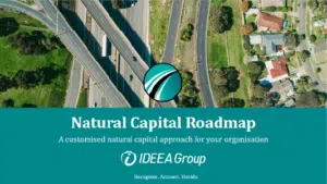Natural Capital Roadmaps - IDEEA Group resources