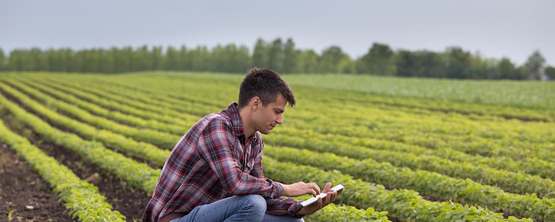 Farmer with tablet in soybean field for Development of tools to assess the impacts of investment on natural capital