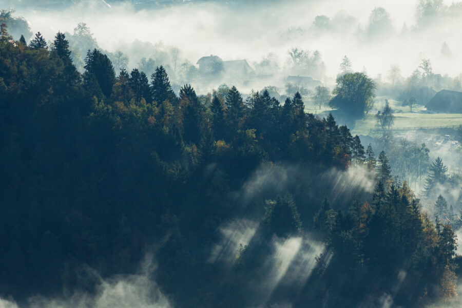 A view over a forest and landscape. Sunshine is streaking through the clouds.