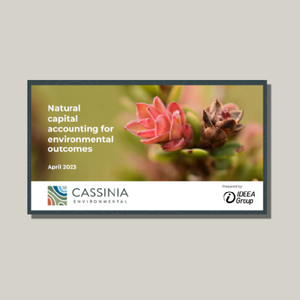 Cassinia Environmental Natural Capital Accounts for the resources page