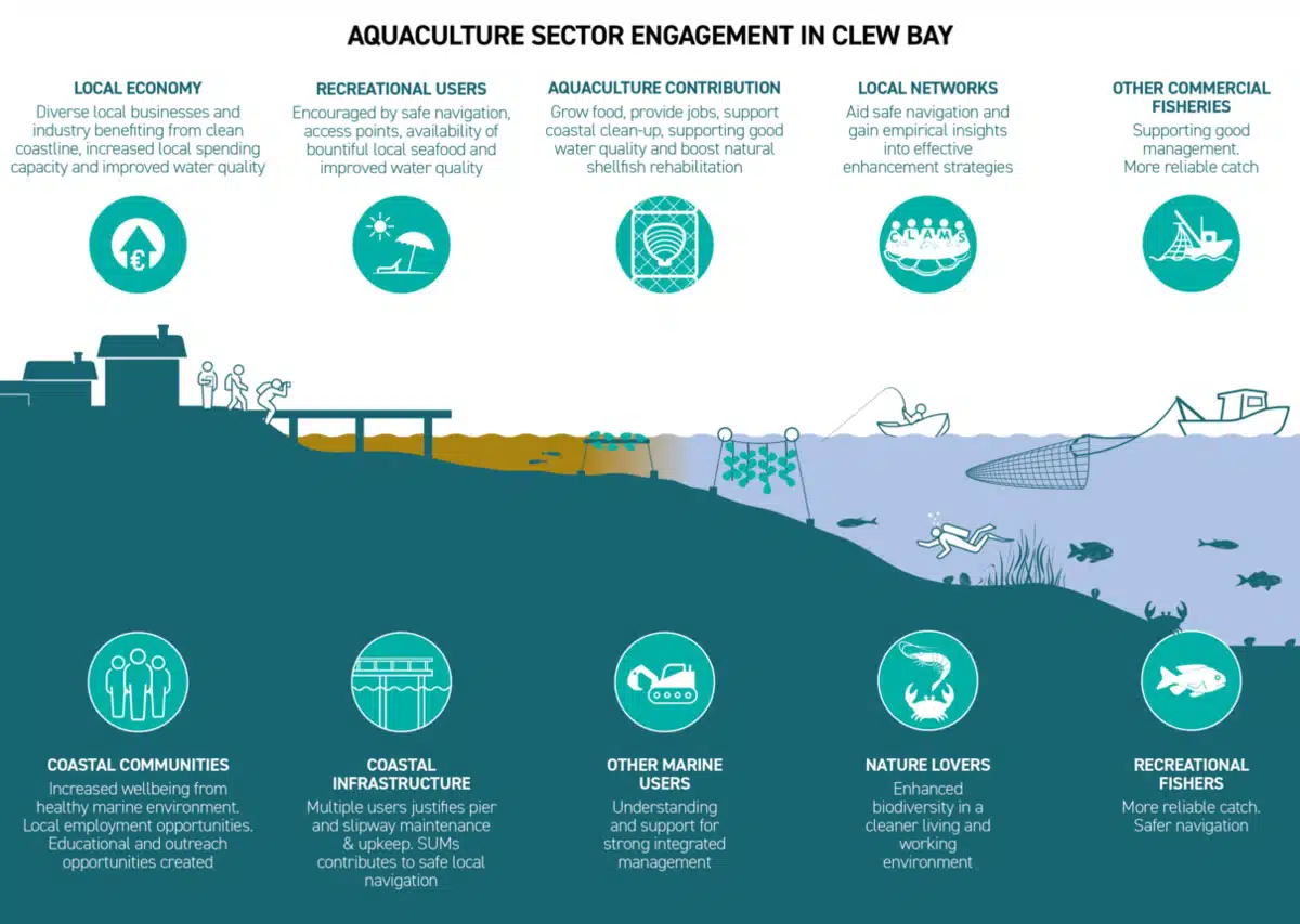 A diagram outlining the different aspects of the seafood industry in Clew Bay