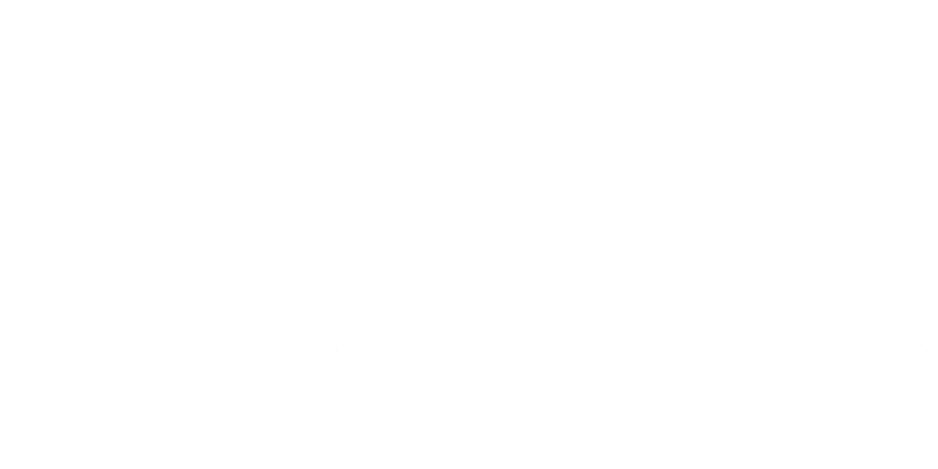 D4N-logo-white horizontal PNG