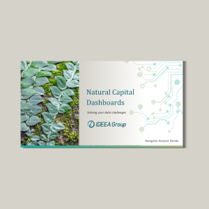 Cover of the Natural Capital Dashboards brochure