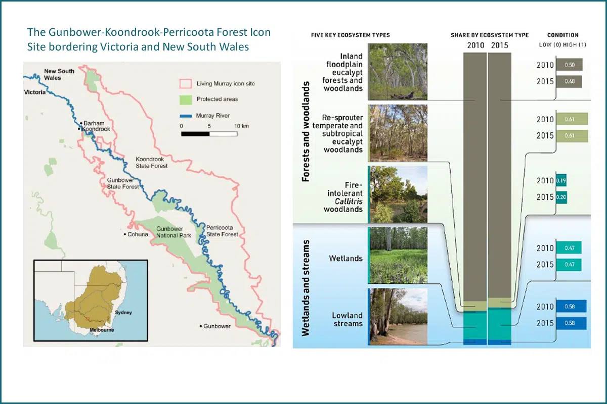 The Gunbower-Koondrook-Perricoota Forest Icon Site bordering Victoria and New South Wales