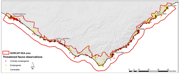 A screenshot of threatened fauna species in the GORCAPA region for a nature-positive future for the Great Ocean Road 