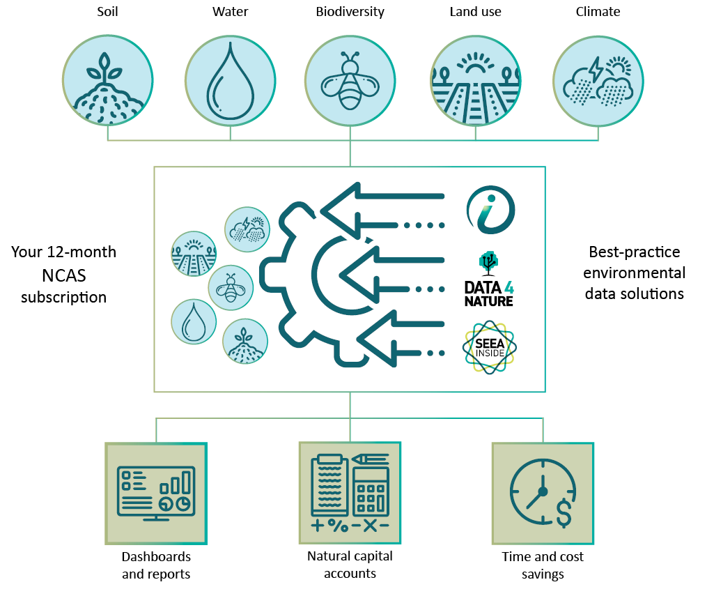 A diagram showing how we help organisations turn fragmented data into decision-ready insights