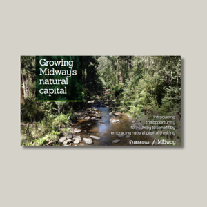 Natural capital accounting for Midway for the resources page