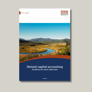 Decluttering the natural capital space for the resources page