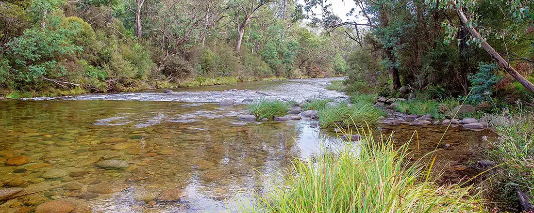 A river for An evaluation framework for the Victorian Government's integrated catchment management approach