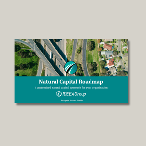 Natural Capital Roadmap brochure for the resources page