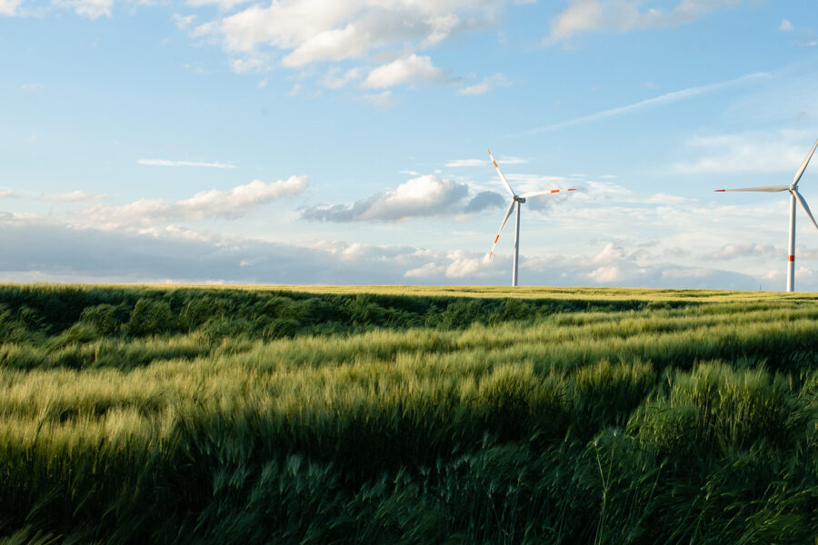 A field of grass with a wind farm in the distance