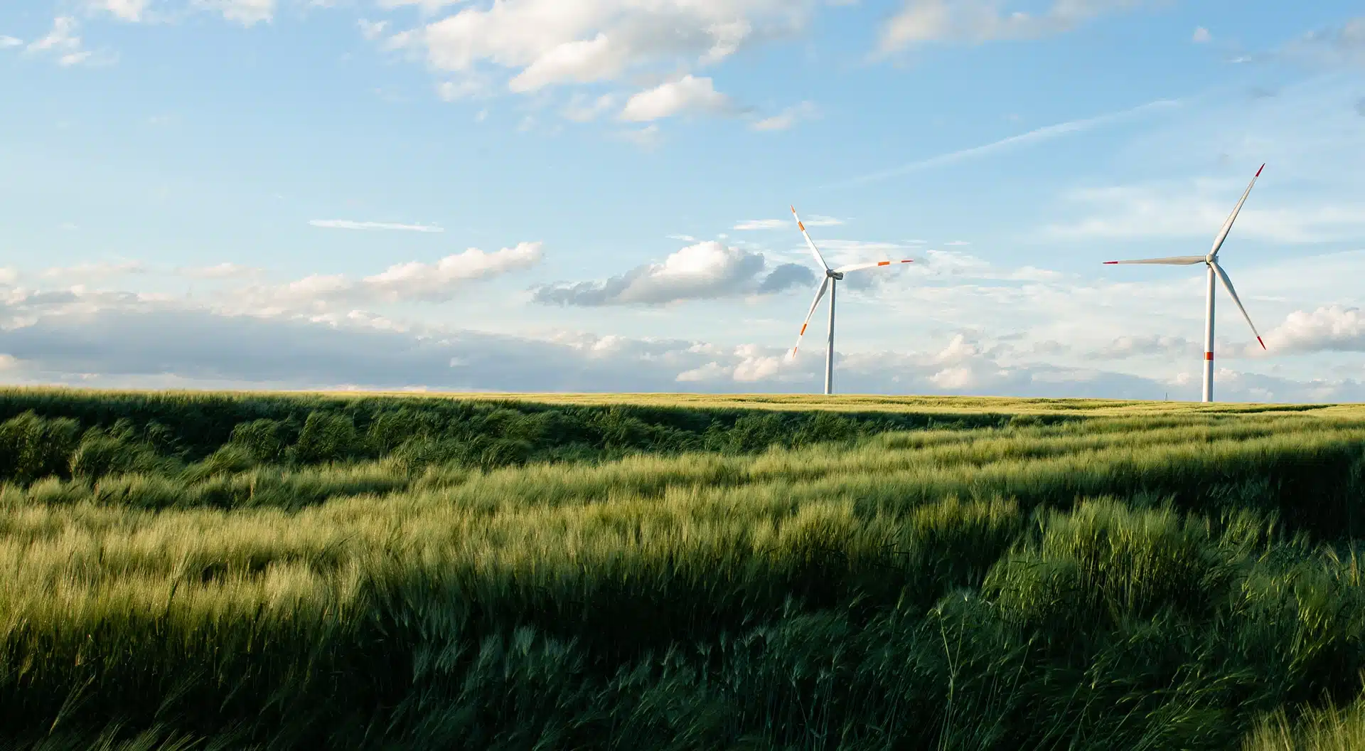 A field of grass with a wind farm in the distance. A game changing agreement between the United States and Australia