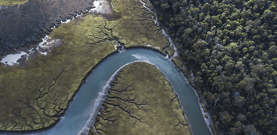 An overview of a Tasmanian forest for State of the Forest reporting in Tasmania