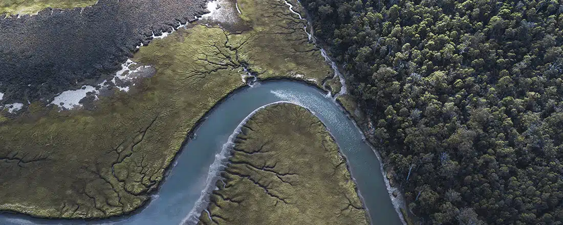 An overview of a Tasmanian forest for State of the Forest reporting in Tasmania