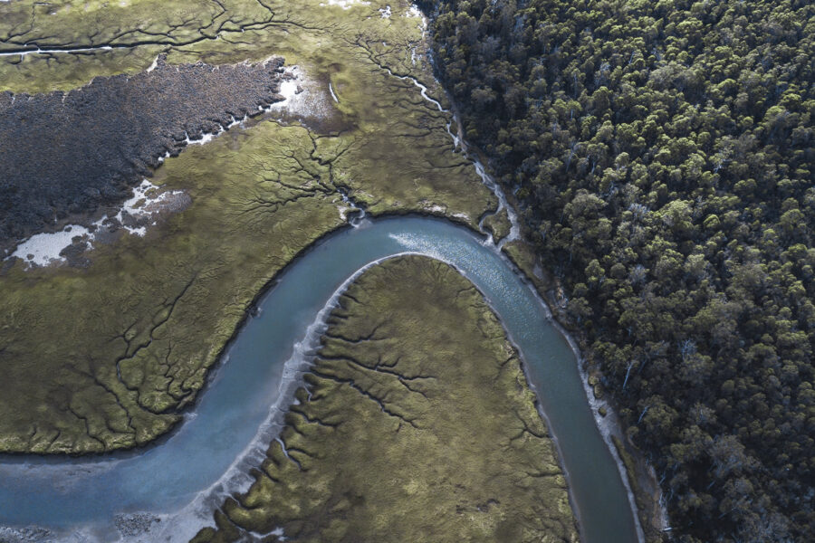 Birds eye view of a forest and river system in Tasmania