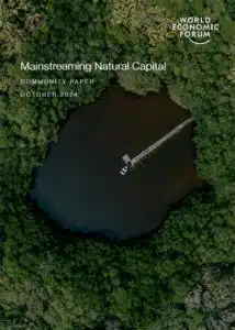Mainstreaming Natural Capital from the World Economic Forum - Cover 