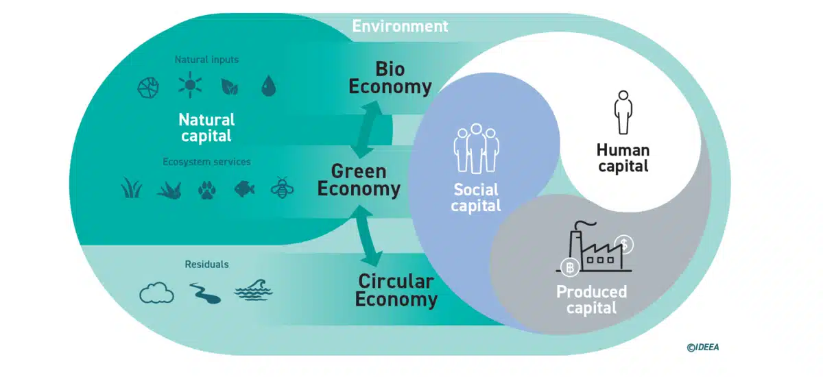 An illustration showing the way that the four types of capital and the three domains of of economy can flow together. 
