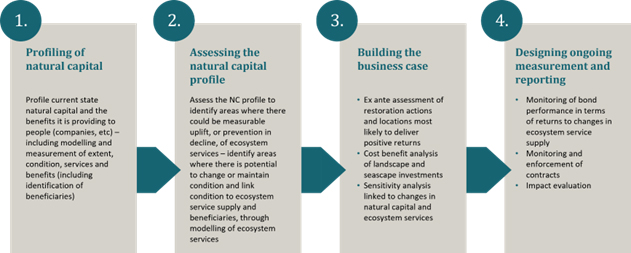 A diagram showing the four aspects of the Blue Impact Bonds project