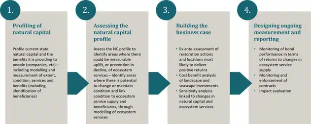 A diagram showing the four aspects of the Blue Impact Bonds project