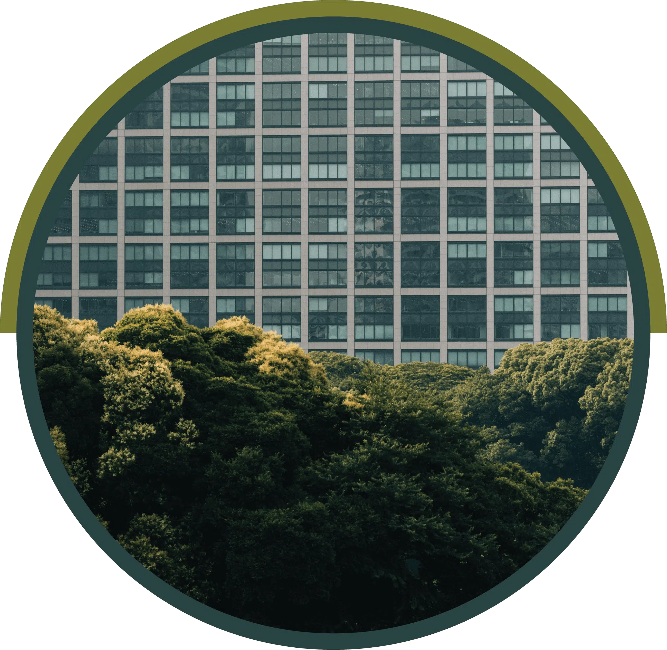 Glass office building rising above a forest canopy