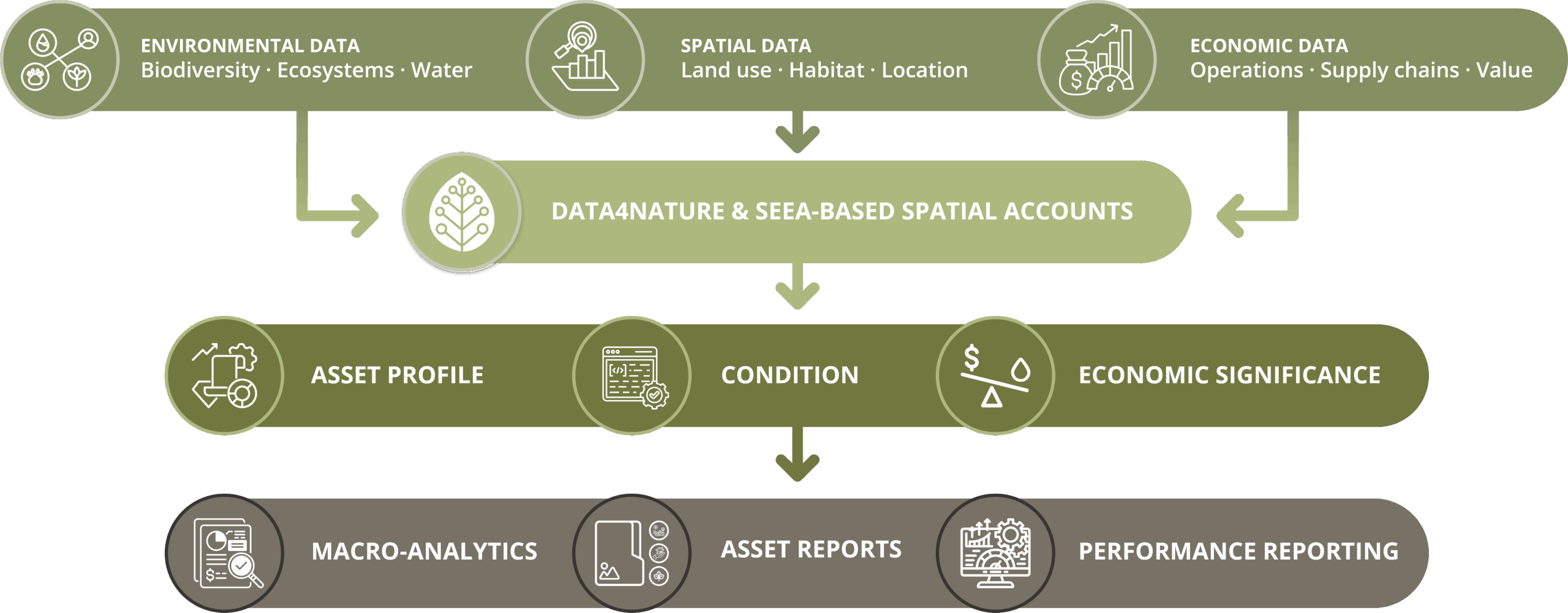 Flow diagram showing environmental, spatial and economic data feeding into Data4Nature and SEEA-based spatial accounts, which produce asset profile, condition and economic significance outputs, leading to macro-analytics, asset reports and performance reporting