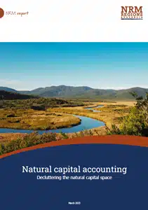 Decluttering the natural capital space cover