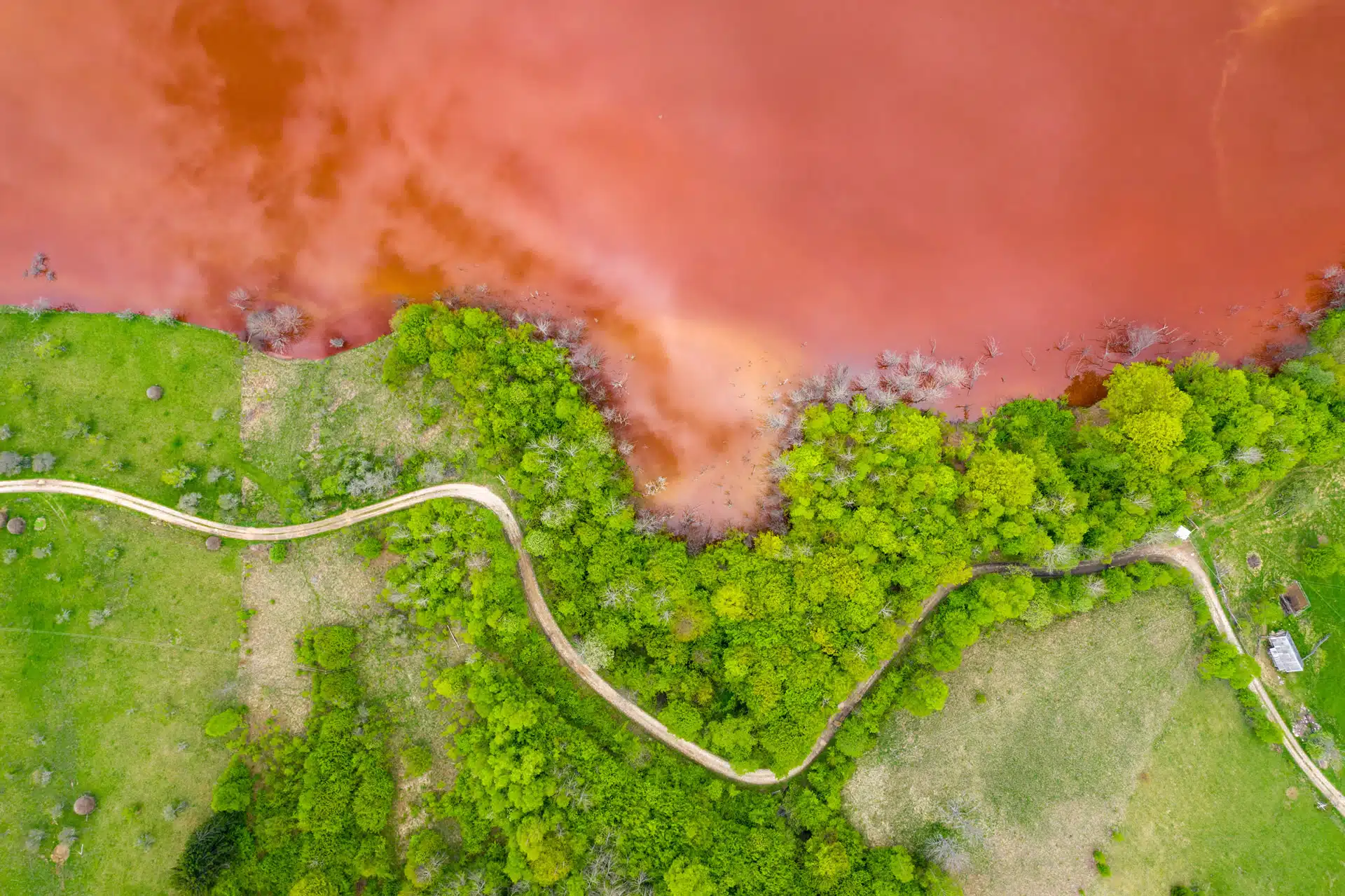 Aerial view of colorful red copper mining waste water in contrast with fresh green forest by drone for How do we measure ecosystems at risk?