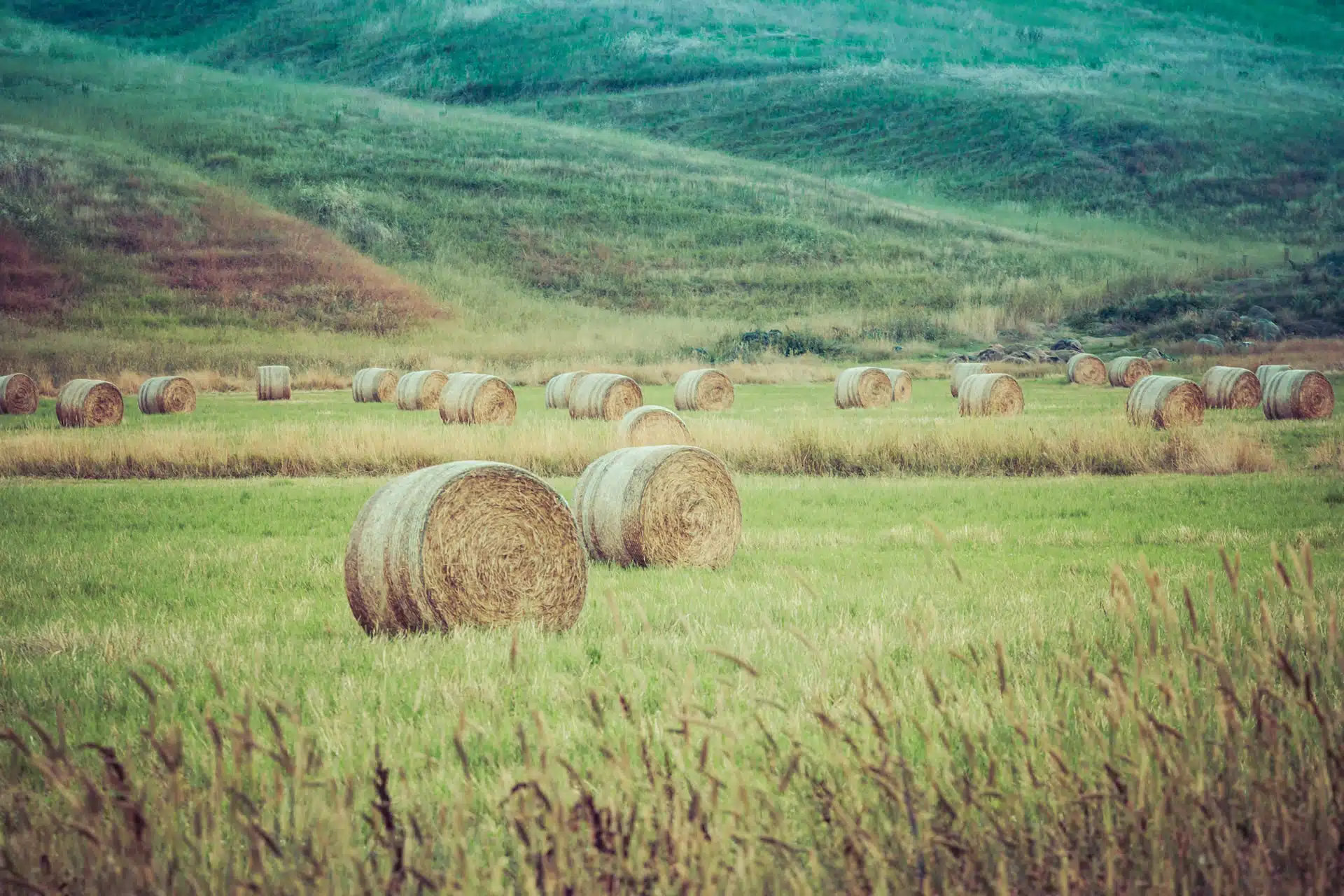 Hay bales on a farm with hills in the background. Can you use the SEEA at a site level? The answer is yes.