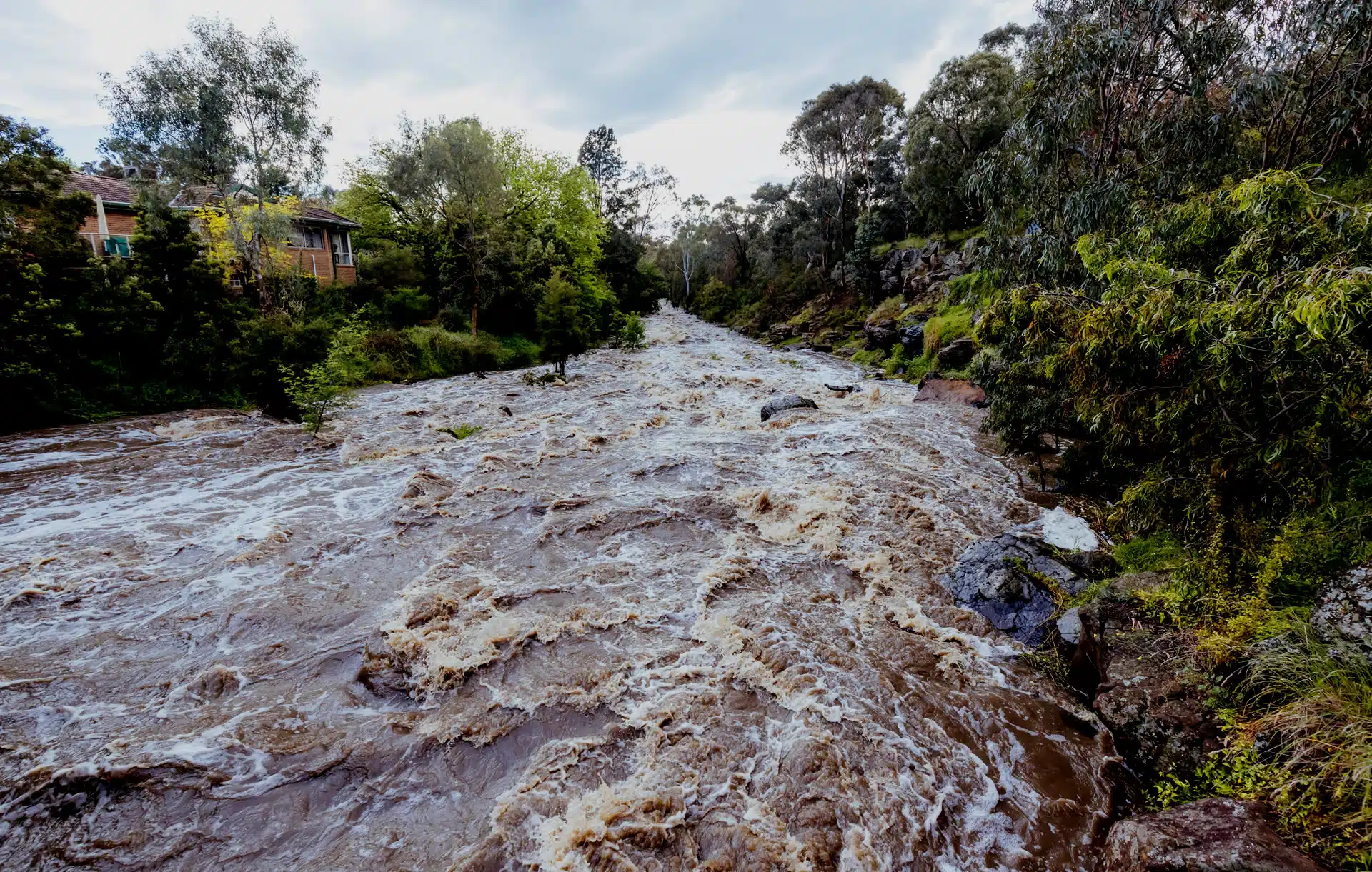 Flooding in Victoria in 2022. The strong relationship between biodiversity and climate change