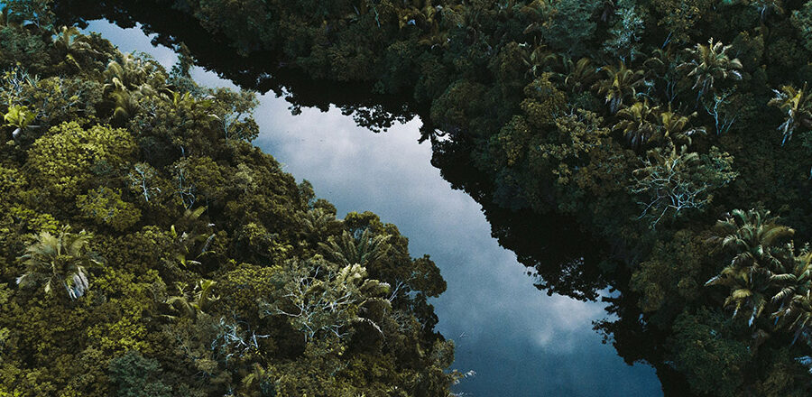 An aerial view of the Amazon rainforest for Putting nature on the balance sheet in the Americas