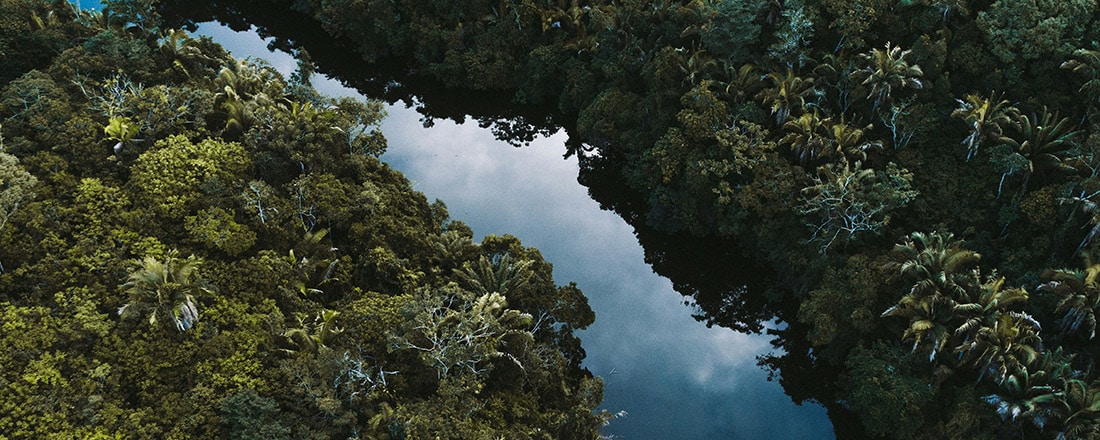 An aerial view of the Amazon rainforest for Putting nature on the balance sheet in the Americas