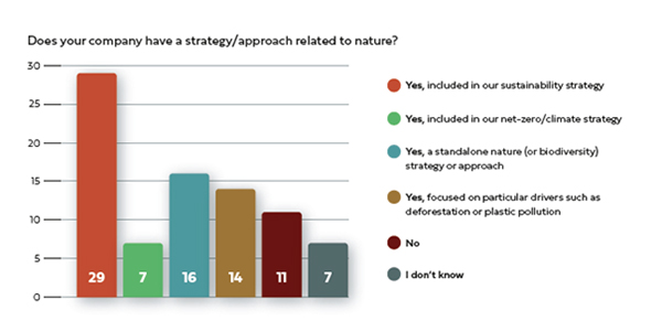 Does your company have a strategy/approach related to nature? 