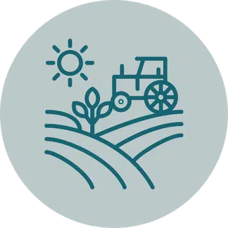 Tractor in a field under the sun icon, representing agriculture and forestry