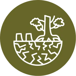 Ground and plant roots icon, representing ecosystem condition