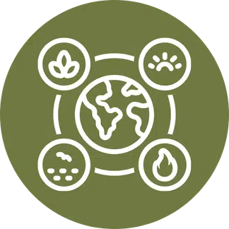 Globe surrounded by ecosystem symbols icon, representing land cover