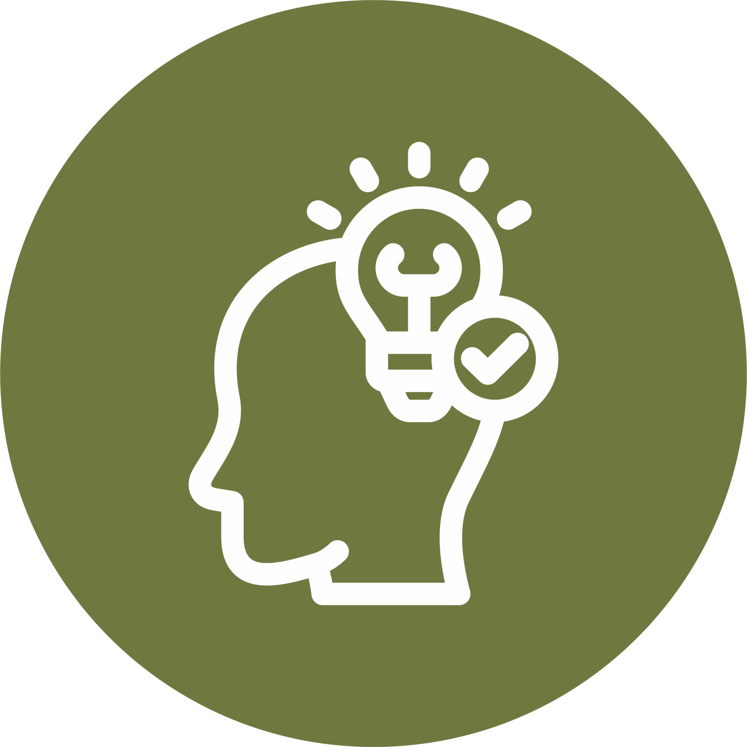 Head with lightbulb and checkmark icon, representing understanding nature