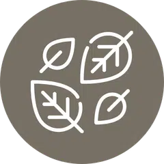 Group of leaves icon, representing changing nature