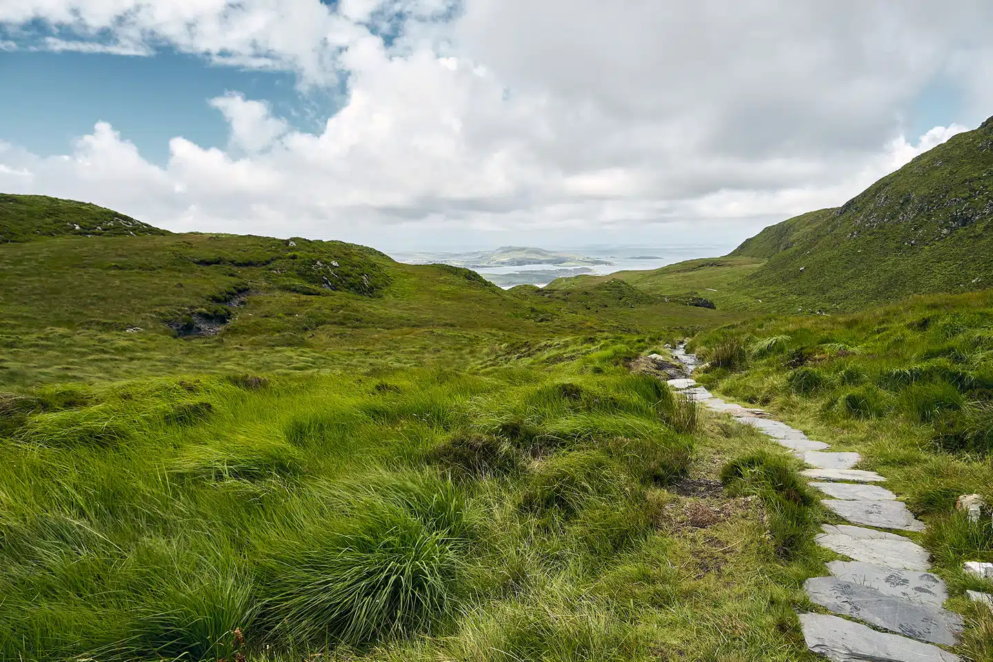 Protecting natural capital and biodiversity in Ireland
