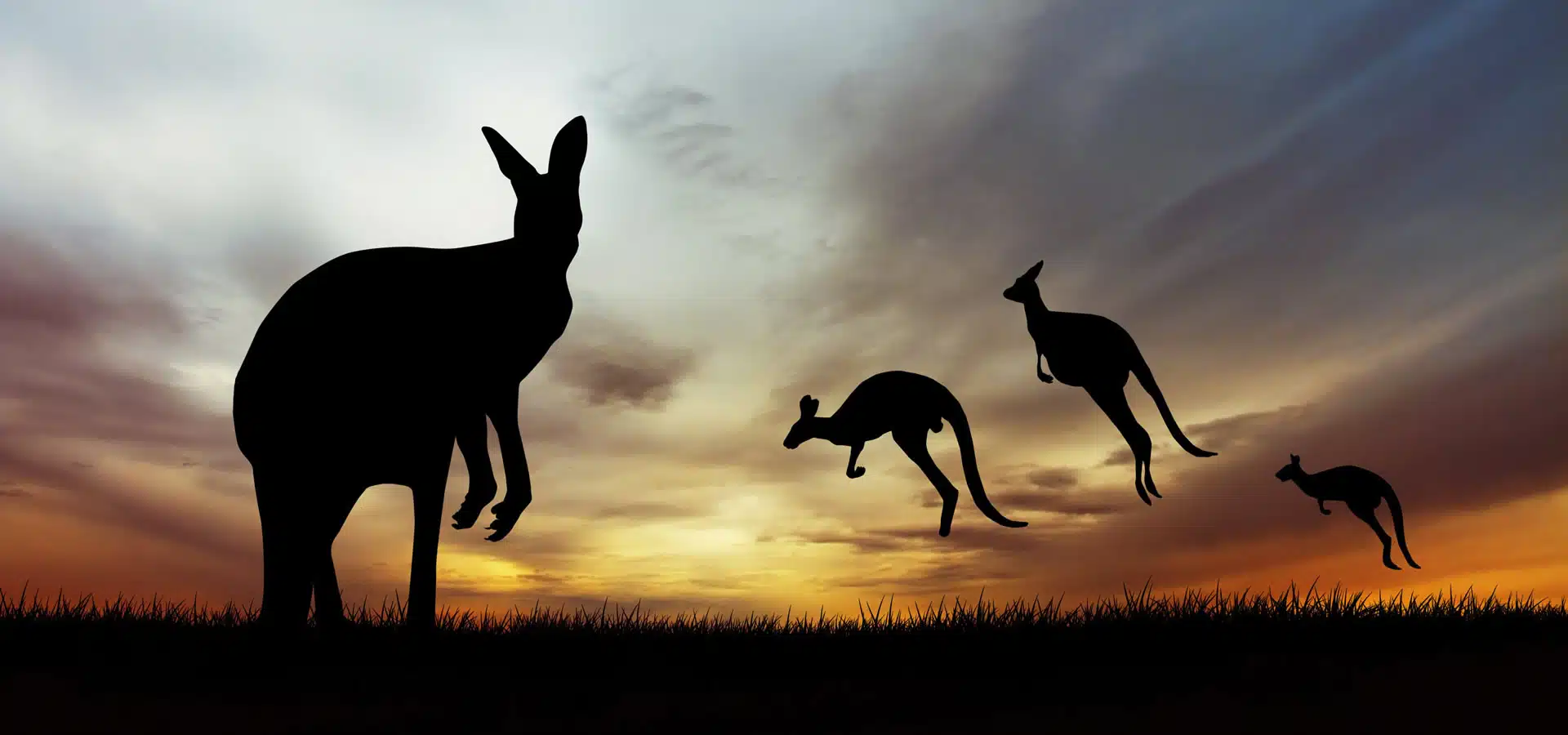 Australia’s Nature Positive laws