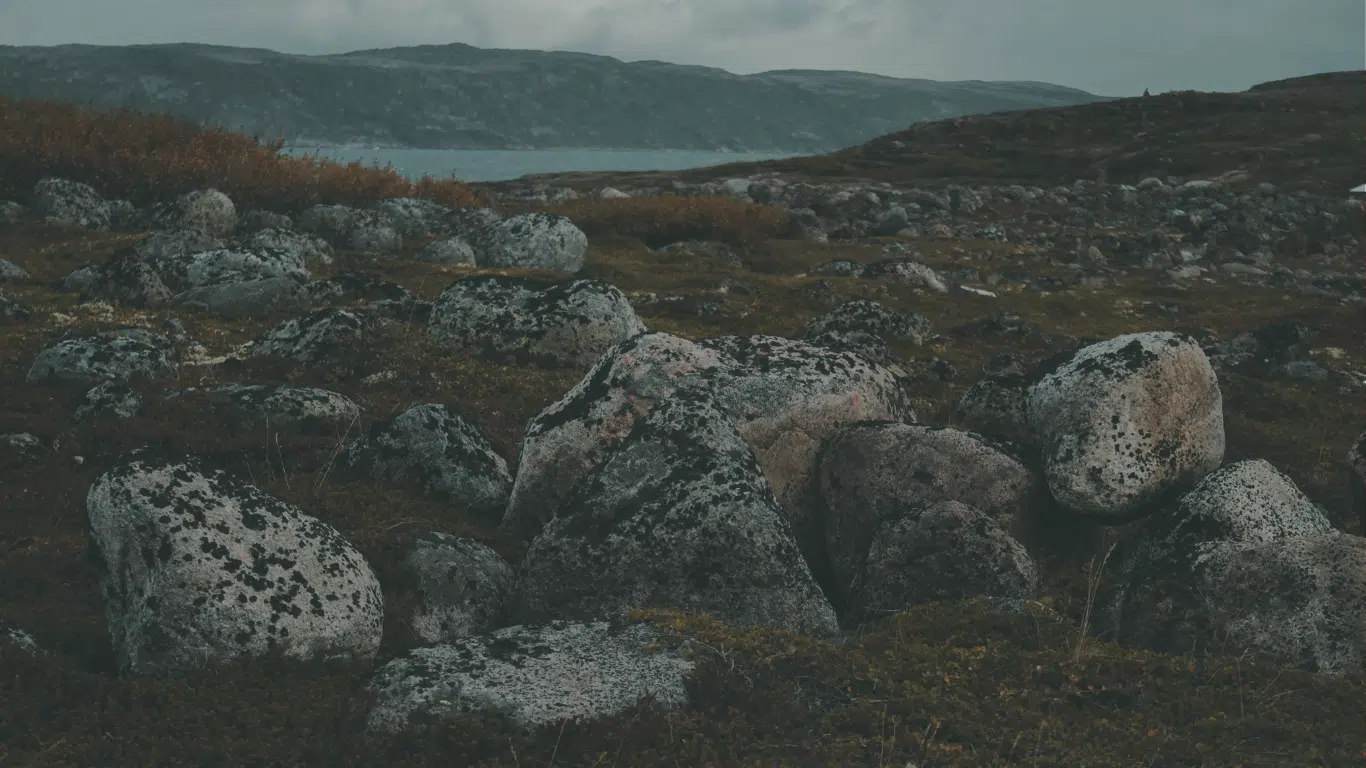 Lichen-covered boulders on mossy tundra beside a calm sea inlet