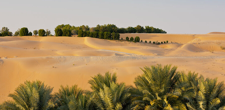 Desert dunes in Liwa oasis, Abu Dhabi, United Arab Emirates for Natural capital accounting and scenario analysis in the UAE