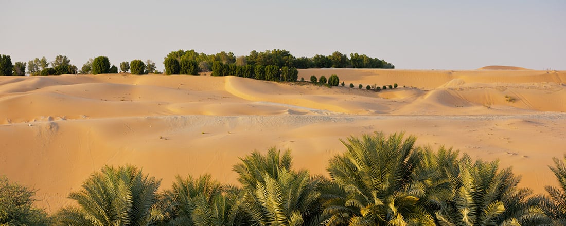 Desert dunes in Liwa oasis, Abu Dhabi, United Arab Emirates for Natural capital accounting and scenario analysis in the UAE