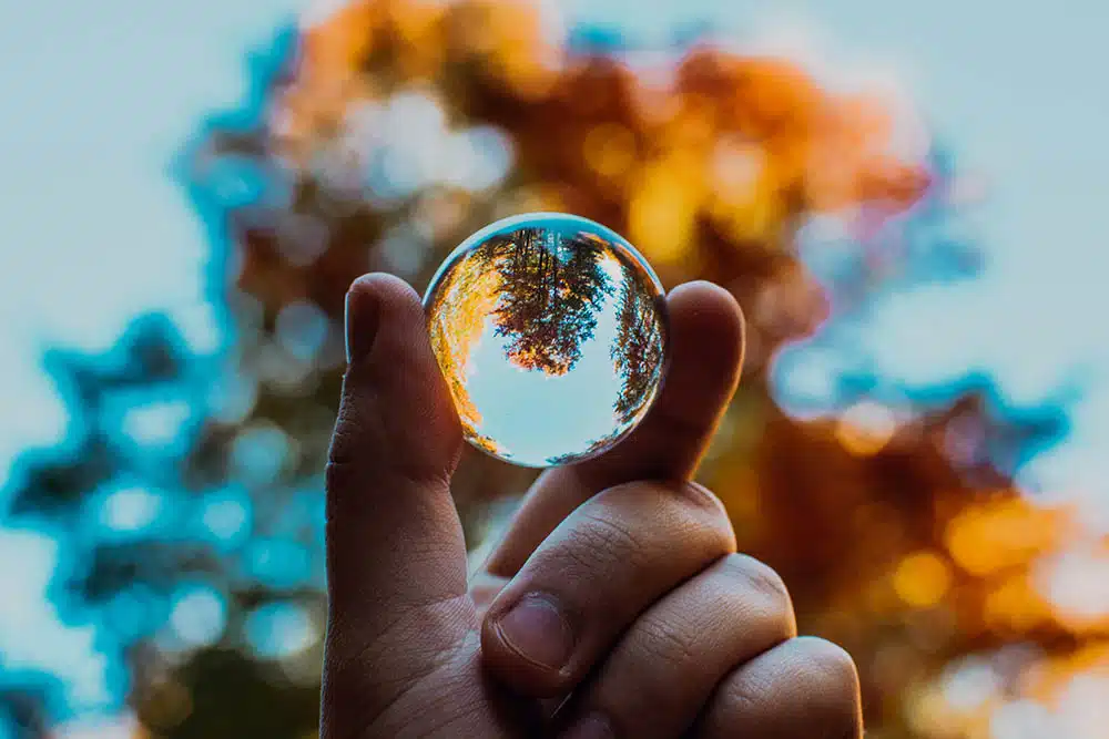 Focus