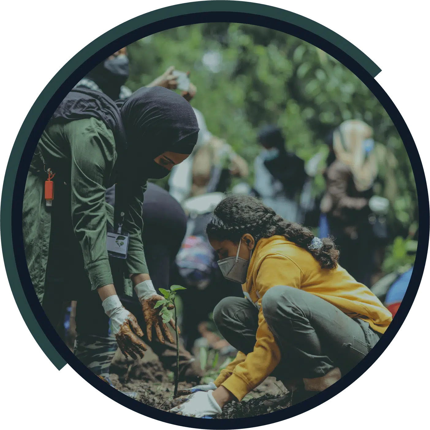 People crouching to plant seedlings together in a green outdoor setting