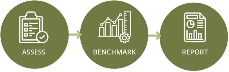 Three-step process for nature asset reports: assess, benchmark, report