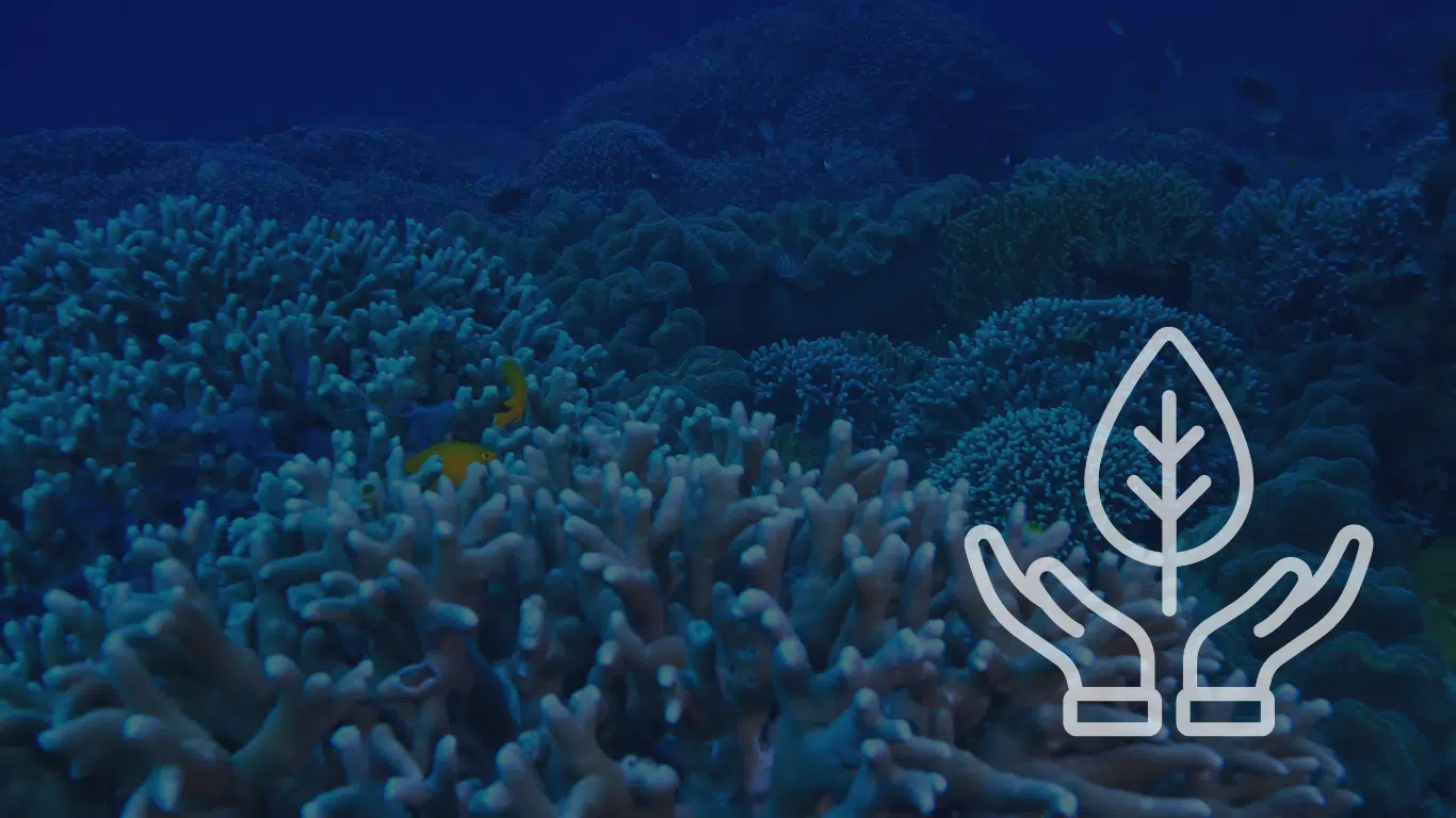 Coral reef underwater with a hands-holding-a-leaf icon representing nature-first environmental accounting
