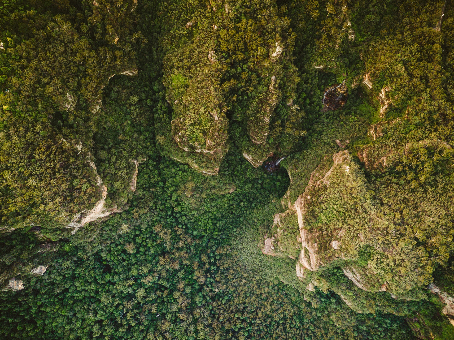 An aerial view of cliffs and scrub for advance your skills in natural capital accounting