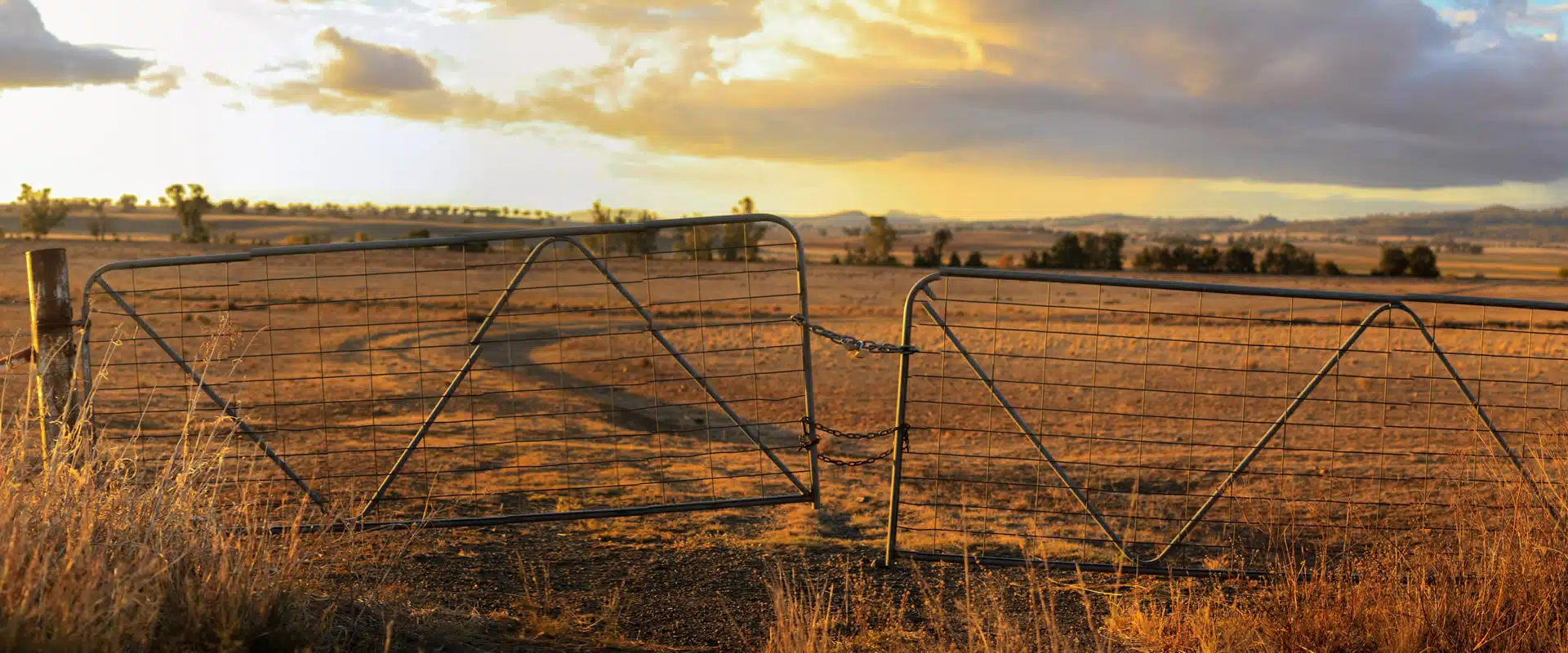 A view of a dry, grassy landscape with two metal gates linked by a chain. Natural capital accounting and natural resource management go hand-in-hand