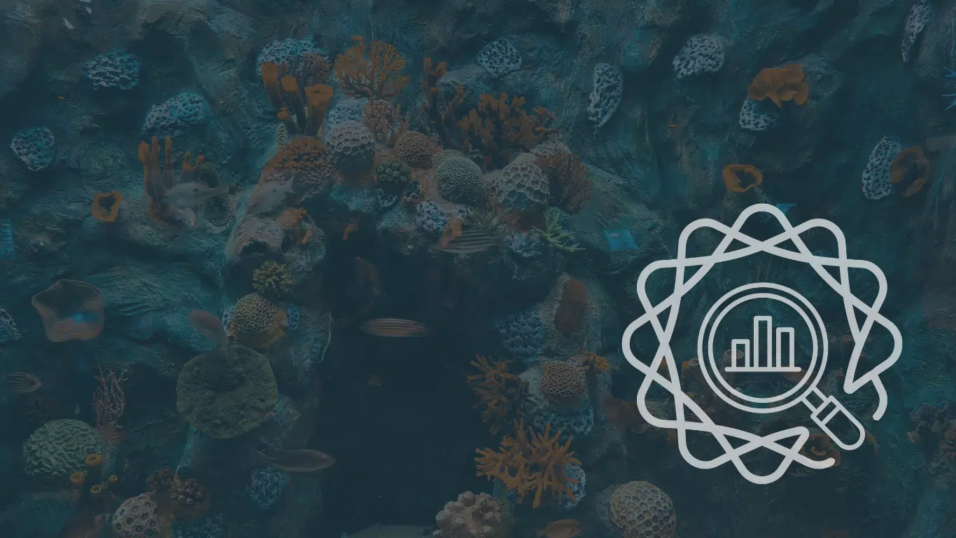 Underwater coral reef with a magnifying glass over a bar chart icon, representing rigorous SEEA-based environmental analysis