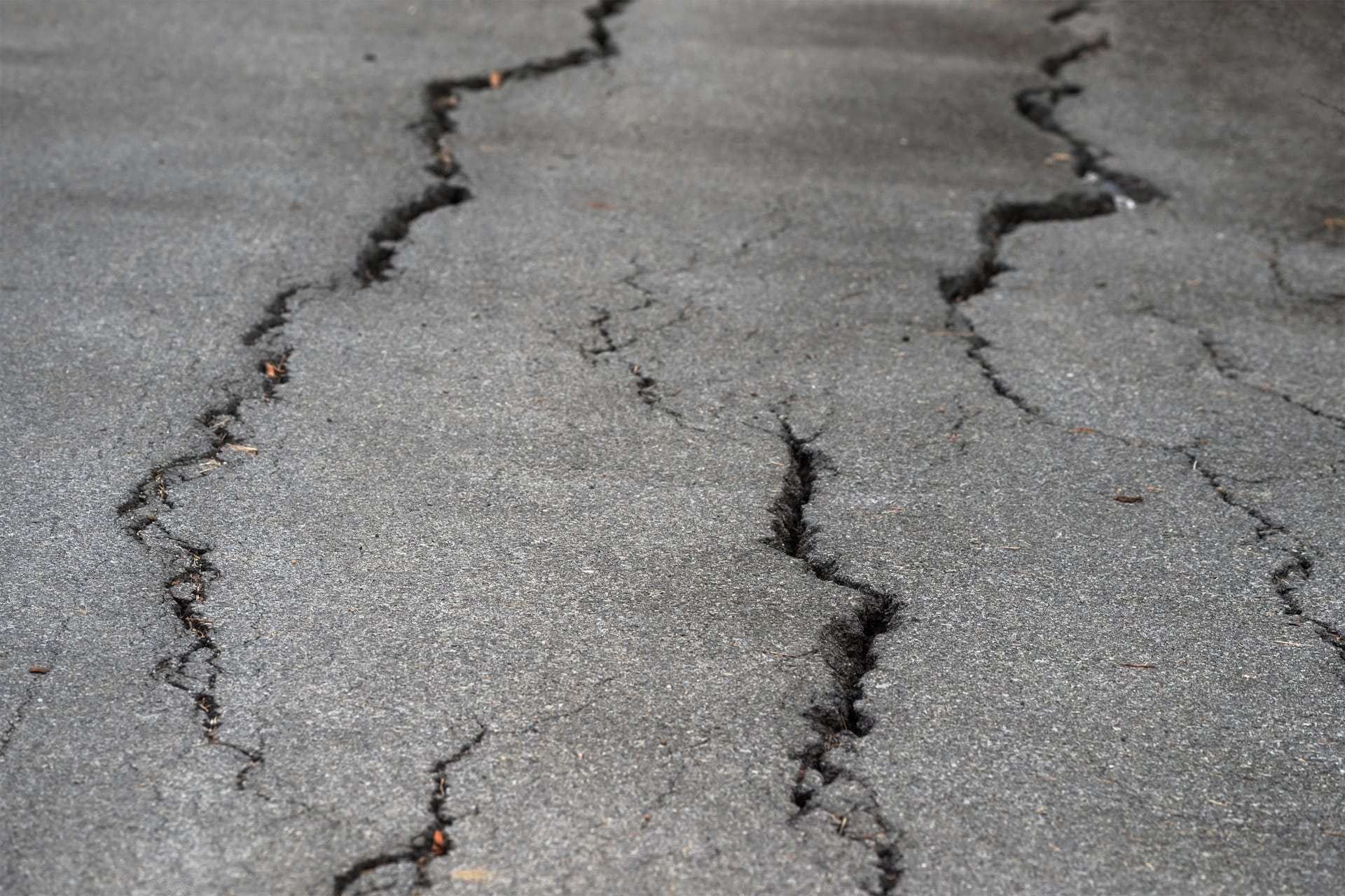 Cracks in a road. Is your business already exposed to nature-related risk?